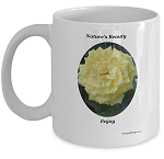 Yellow Roses Coffee Mugs have a beautiful single yellow rose image. Mug for those who have a love for yellow roses or flowers.  Enjoy some happy thought inspired by this mug with a yellow rose displayed on the sides Yellow Roses showcase positive feelings of warmth.